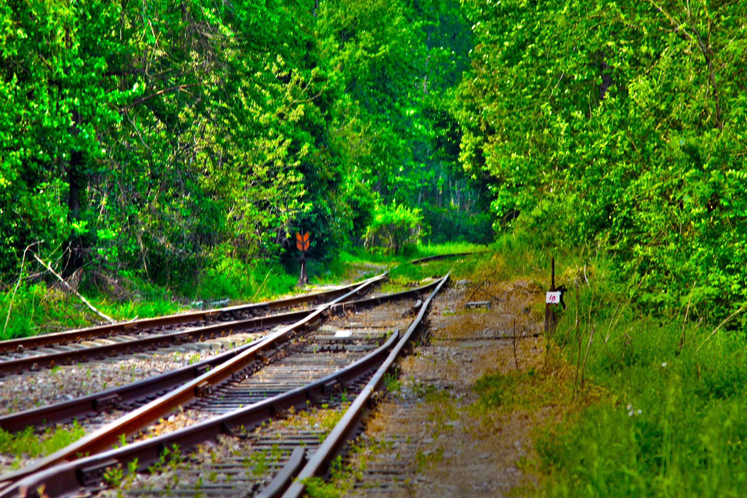 我省今年年內(nèi)有4條鐵路線投入運(yùn)營更多出行選擇！