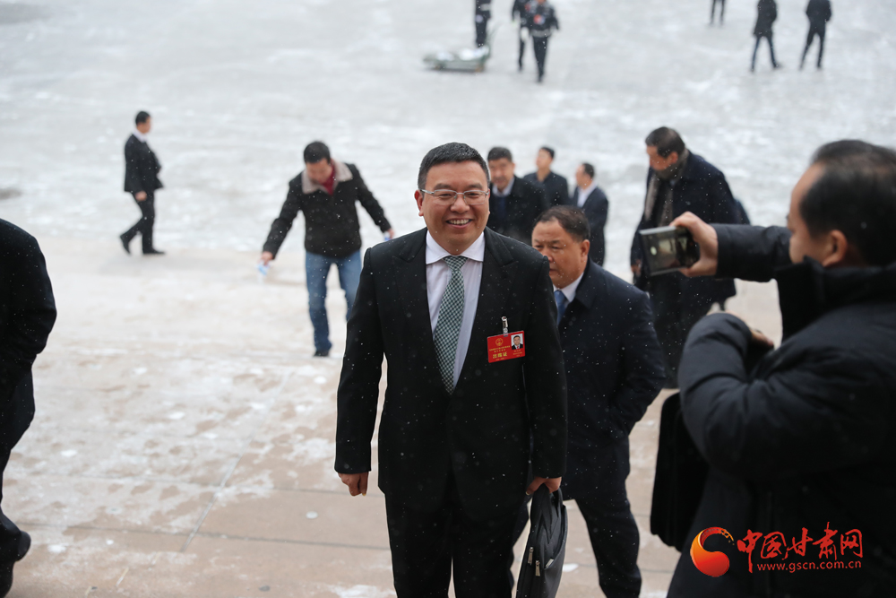 【聚焦2020甘肅兩會】“兩會”代表、委員風采掠影（組圖）
