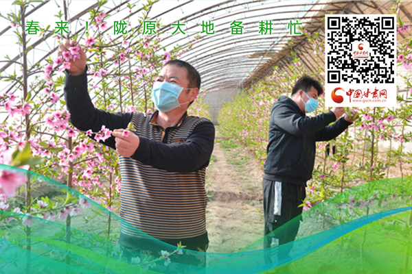 海報(bào)丨春來(lái)！隴原大地春耕忙