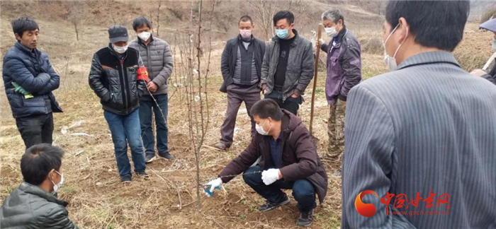【甘肅全民戰(zhàn)“疫”】隴南徽縣：花椒田里培訓(xùn)忙，戰(zhàn)疫春耕兩不誤