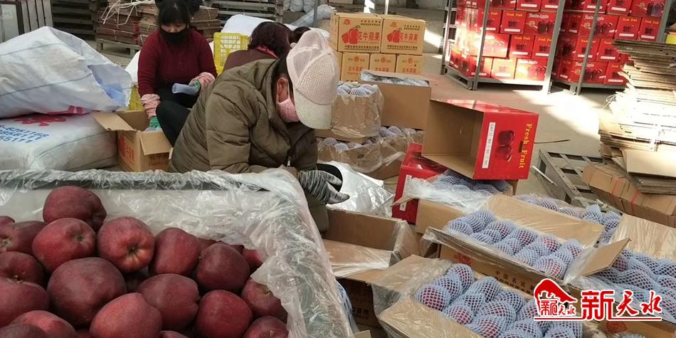 天水“花?！弊罱悬c“?！?>
        </a><em>天水“花牛”最近有點“?！?/em></li>
    <li><a  target=