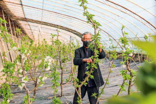 銅城復(fù)蘇：春光明媚，邀你共賞芳華（組圖）