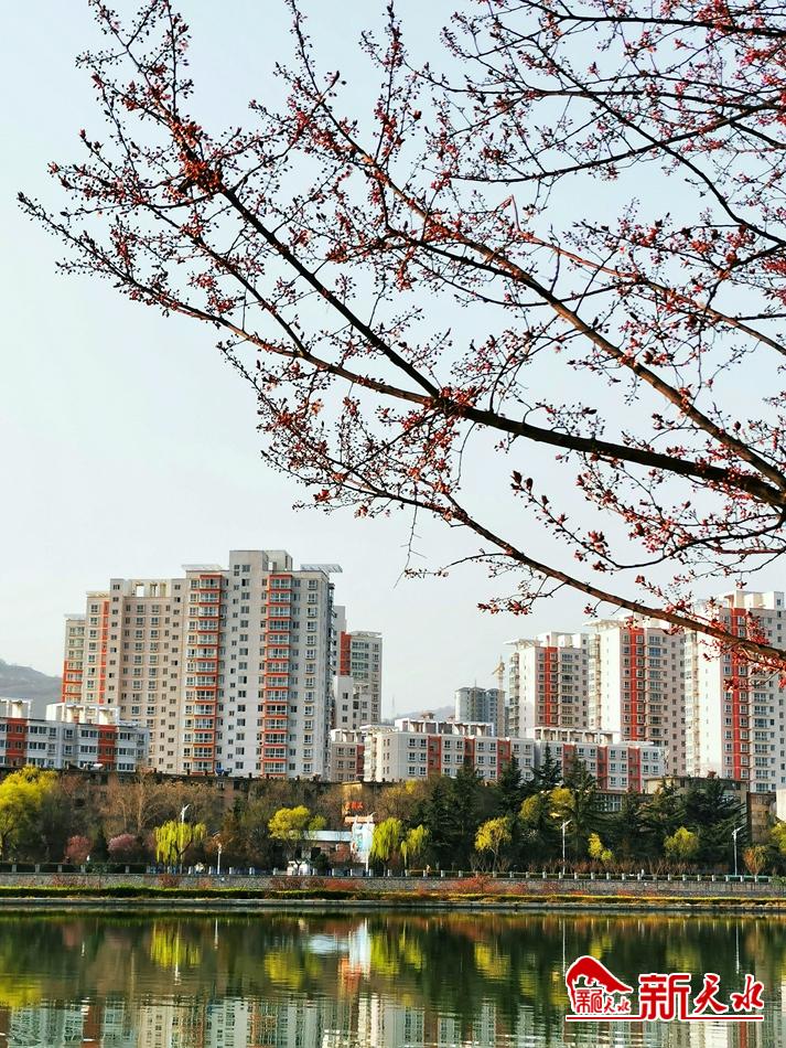 春天，古城天水的十個(gè)美麗瞬間