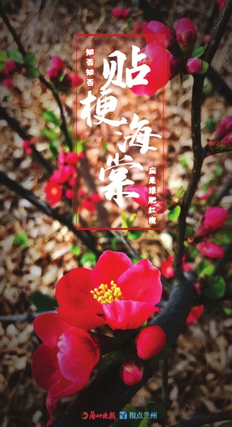 來(lái)，跟這些美美的花朵認(rèn)識(shí)一下！