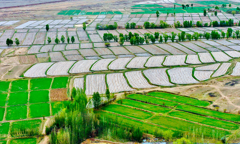 【小隴畫報·88期】甘肅山丹：騰退復(fù)墾 沃野縱橫煥生機