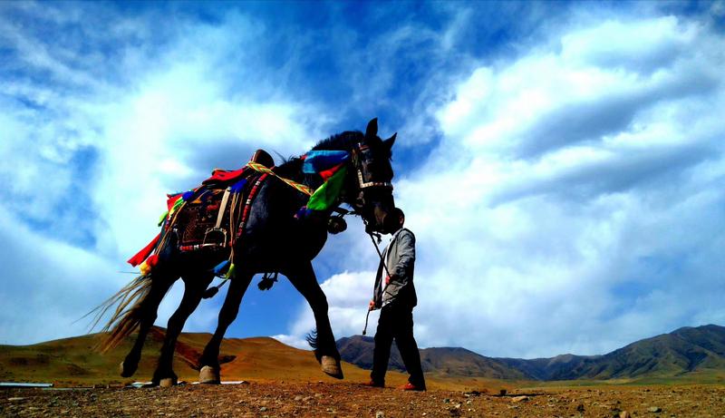 好消息！天祝被命名為“中國高原走馬之鄉(xiāng)”