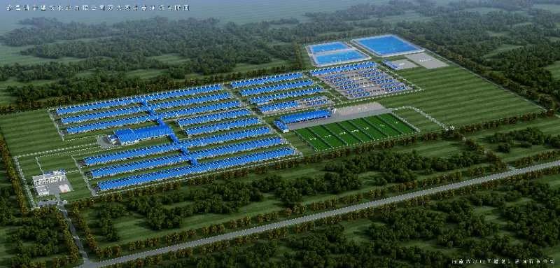 【喜迎蘭洽會】2833頭澳大利亞進(jìn)口牛在金昌“安家落戶”