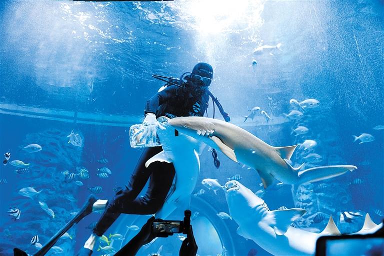 蘭州海洋公園 金昌火星1號基地 這個暑假我們“上天入?！?>
        </a><em>蘭州海洋公園 金昌火星1號基地 這個暑假我們“上天入?！?/em></li>
    <li><a  target=