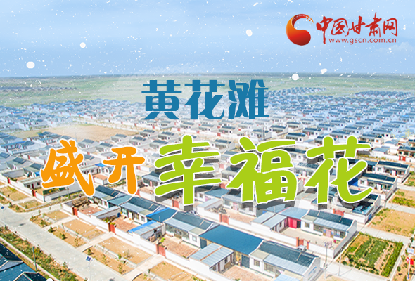 【跟著總書(shū)記看甘肅】長(zhǎng)圖|武威黃花灘盛開(kāi)幸?；?