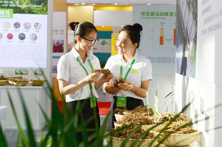 定西，從“千年藥鄉(xiāng)”邁向“中國藥都”