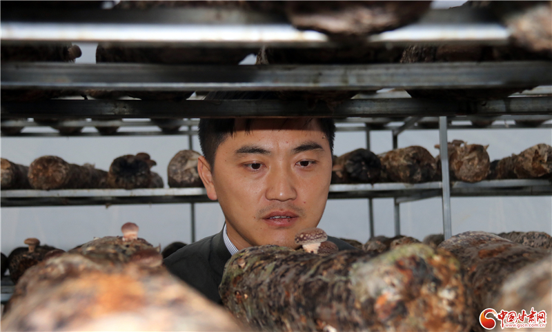 110年！何家溝村終于有了集體經(jīng)濟——中建二局黨建結(jié)對幫扶成效顯著