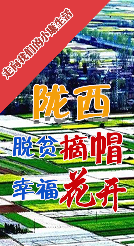 【走向我們的小康生活】長(zhǎng)圖|隴西：脫貧摘帽 幸?；ㄩ_
