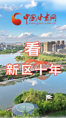 圖解|崛起！新區(qū)十年