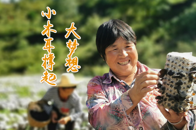 海報丨他們，乘“豐”破浪！