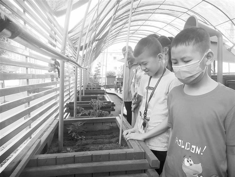 蘭州一社區(qū)很特別：家門(mén)口開(kāi)科技館 屋頂上建菜園