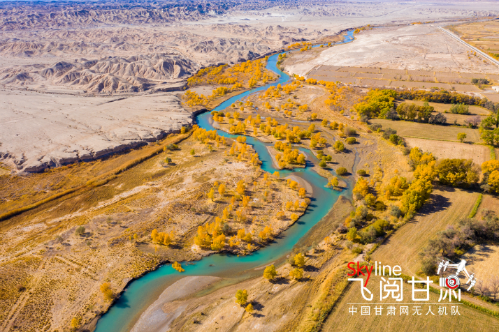 【飛閱甘肅】好美！疏勒河畔大地斑斕