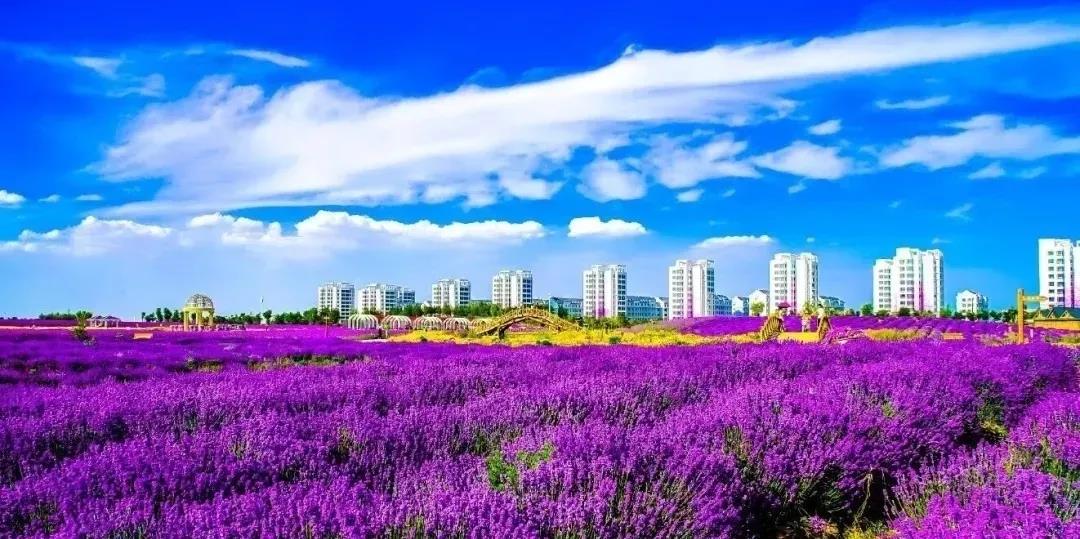 喜訊！金昌蟬聯(lián)全國文明城市