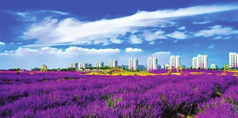 “三連冠”！金昌蟬聯(lián)全國(guó)文明城市