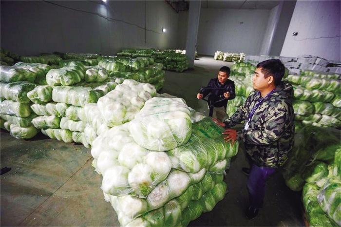 蘭州市已儲(chǔ)備1萬噸冬春蔬菜 以耐貯存、易周轉(zhuǎn)品種為主