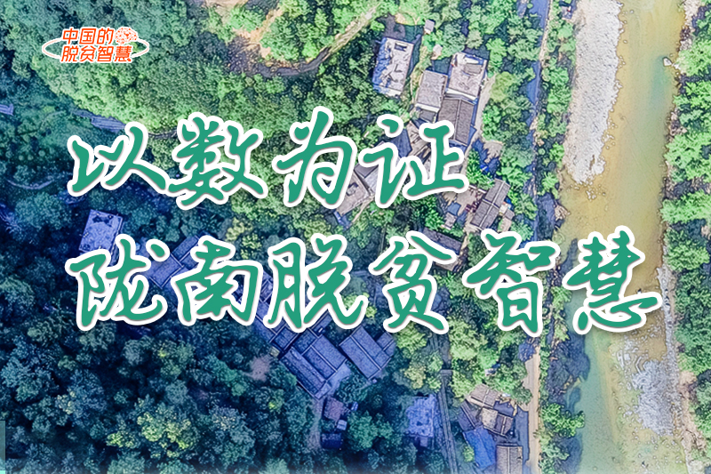 【中國(guó)的脫貧智慧】以數(shù)為證！隴南脫貧智慧來了！