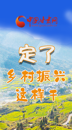 圖解|定了！全面推進(jìn)鄉(xiāng)村振興這樣干！
