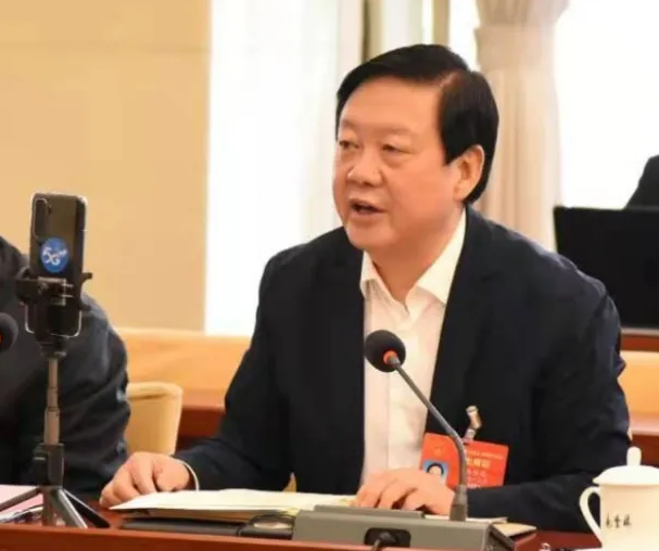 【聚焦2021全國兩會】全國人大代表、市委書記楊維俊接受中國日報記者采訪