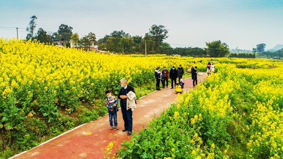 游客在花海里踏青。廖濤 攝
