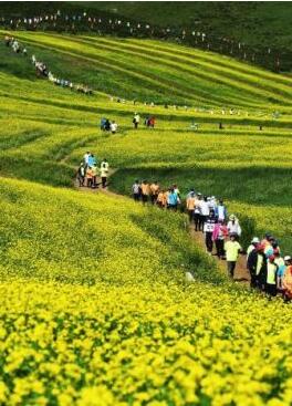 甘肅明確農(nóng)民進(jìn)城落戶:不以退出承包地、林地等為條件