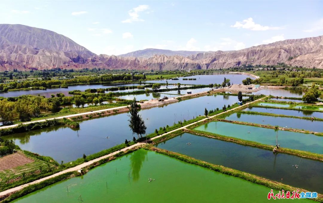 一秒入畫！太極島濕地風(fēng)光秀麗