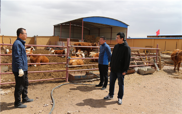 1642412527531970.jpg 深入紅山窯鎮(zhèn)牧民家中了解惠民政策落實情況.JPG