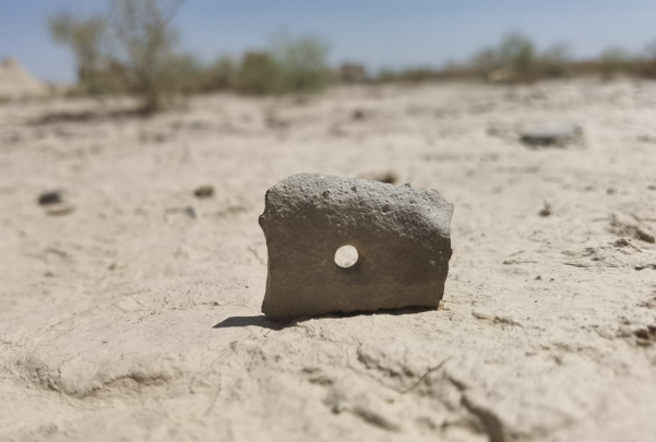 插圖1：河西走廊上遺存的古陶片。攝影：陳曉斌。拍攝日期：2020年6月。