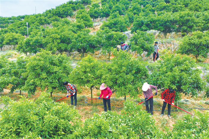 1650239455420901.jpg 3.jpg