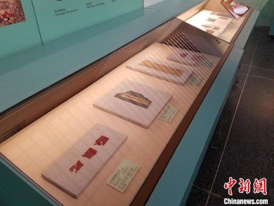 圖為展覽現場?！《鼗脱芯吭汗﹫D