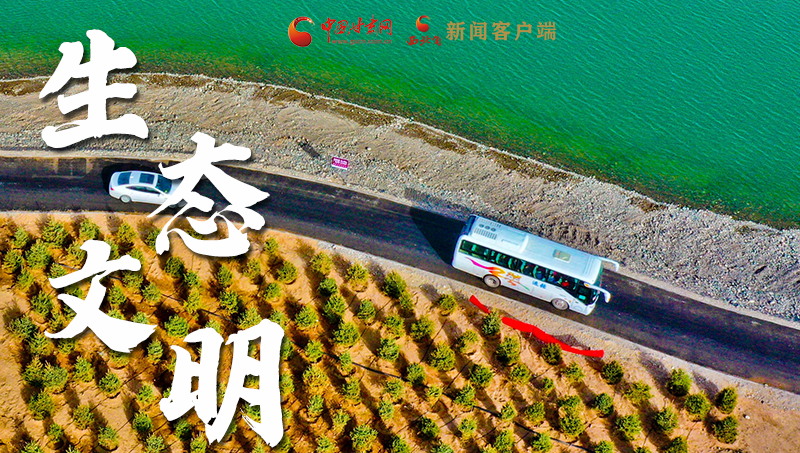 彈幕海報丨熱議甘肅省委十三屆十六次全會 網(wǎng)民聲音在回響！