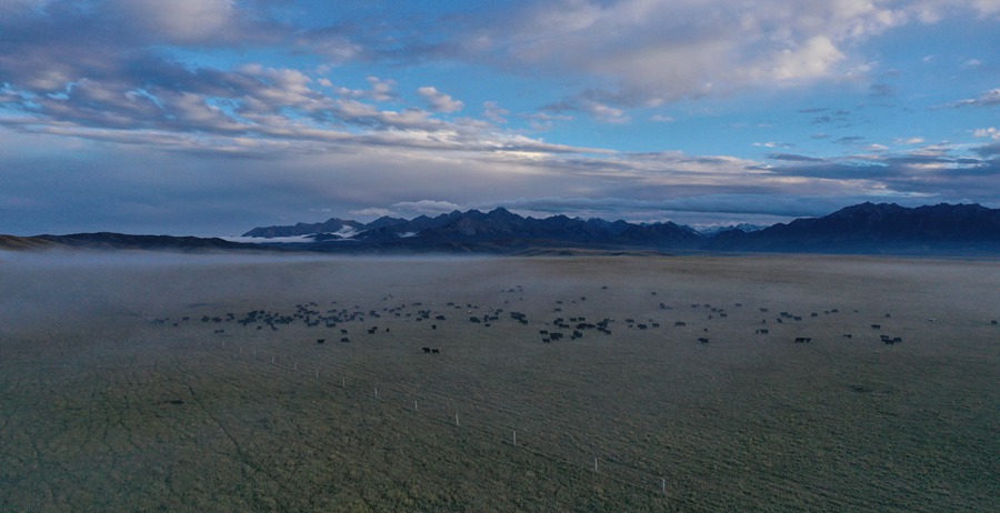 甘肅山丹馬場：峽谷云霧似仙境。 王超攝