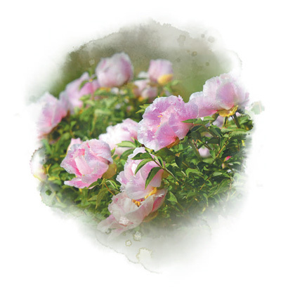 1674883826811301.jpg?x-oss-process=style/w10 1674852405757_1.jpg?x-oss-process=style/w10