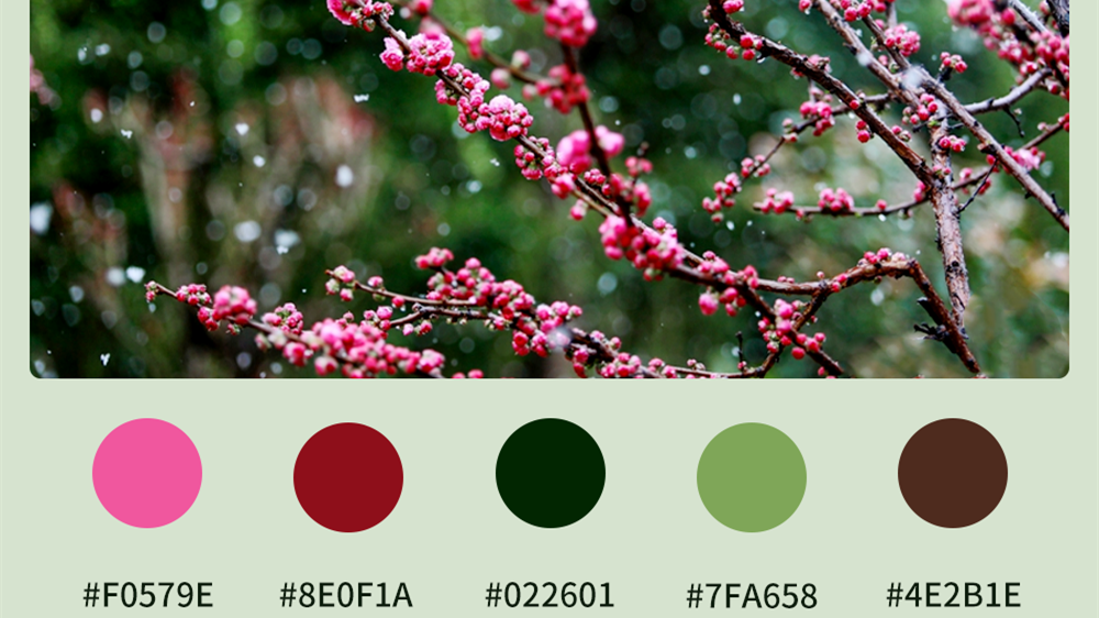 微海報(bào)|收藏！色卡里的春日甘肅