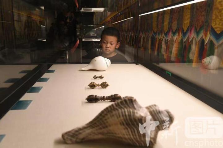 圖為展出的“白海螺法器”吸引小觀眾。 中新社記者 戴文昌 攝