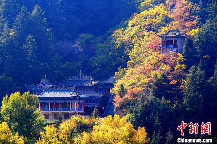 深秋，位于蘭州市榆中縣的興隆山景色如畫。宮衛(wèi)紅 攝