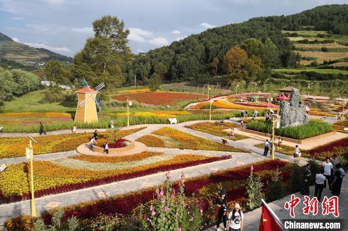 圖為航拍甘肅甘南臨潭縣八角鎮(zhèn)，花海吸引游人。(資料圖)高展 攝