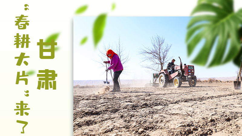 【甘快看】海報(bào)|瞧！甘肅“春耕大片”來了