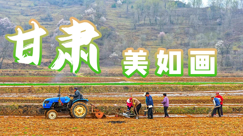 微海報|甘肅，美如畫