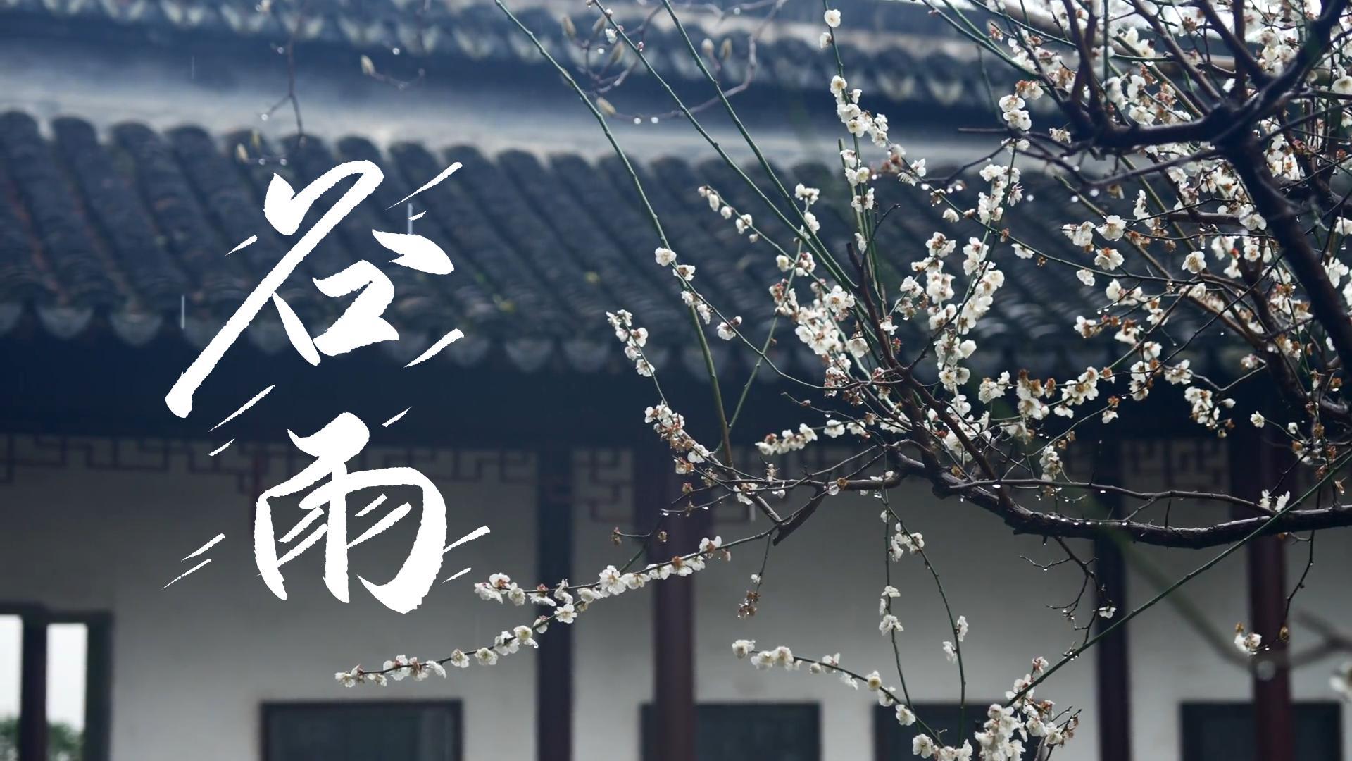 【節(jié)氣里的大美甘肅】谷雨，春天的最后一次回眸