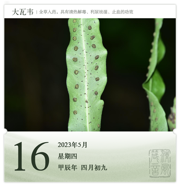 1714275572446207.png 箴歷日歷5-16.png