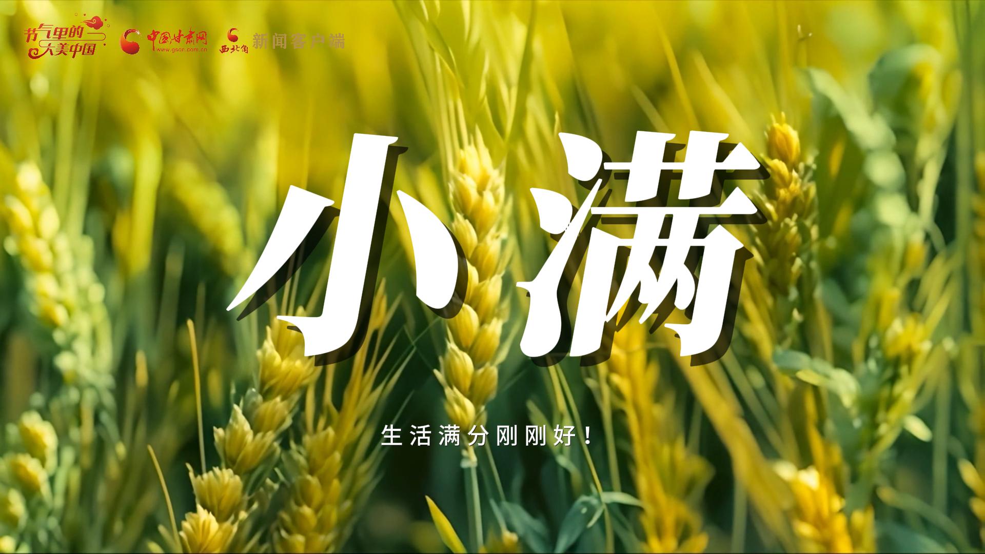 【節(jié)氣里的大美甘肅·小滿】生活滿分剛剛好！