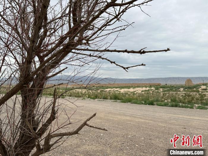 圖為位于長(zhǎng)城墻體上的“馬面”或“敵臺(tái)”?！〈魑牟?攝