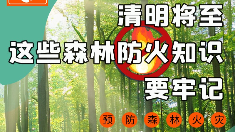 【甘快看】圖解|緊繃“安全弦”！清明，這些森林防火知識要牢記