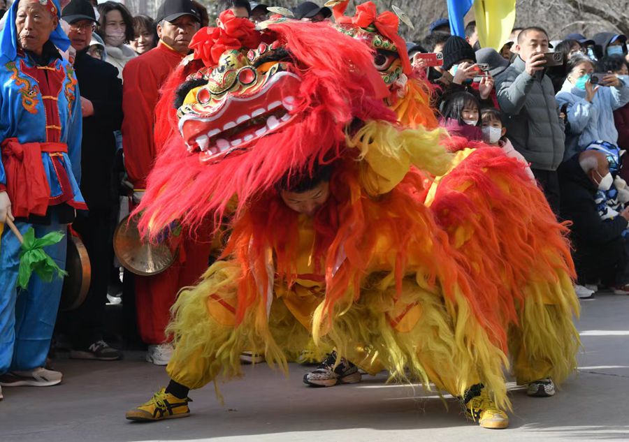 蘭州北獅表演現(xiàn)場(chǎng)。受訪者供圖