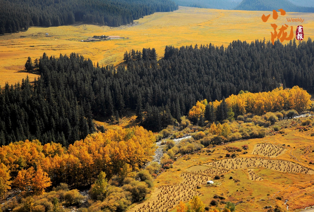 【小隴畫報(bào)·445期】天祝的初冬 依然是深秋的色彩