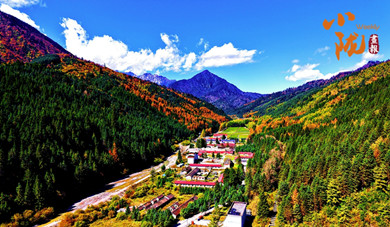 舟曲：大峪溝的冬天 每一處都是風景壁紙